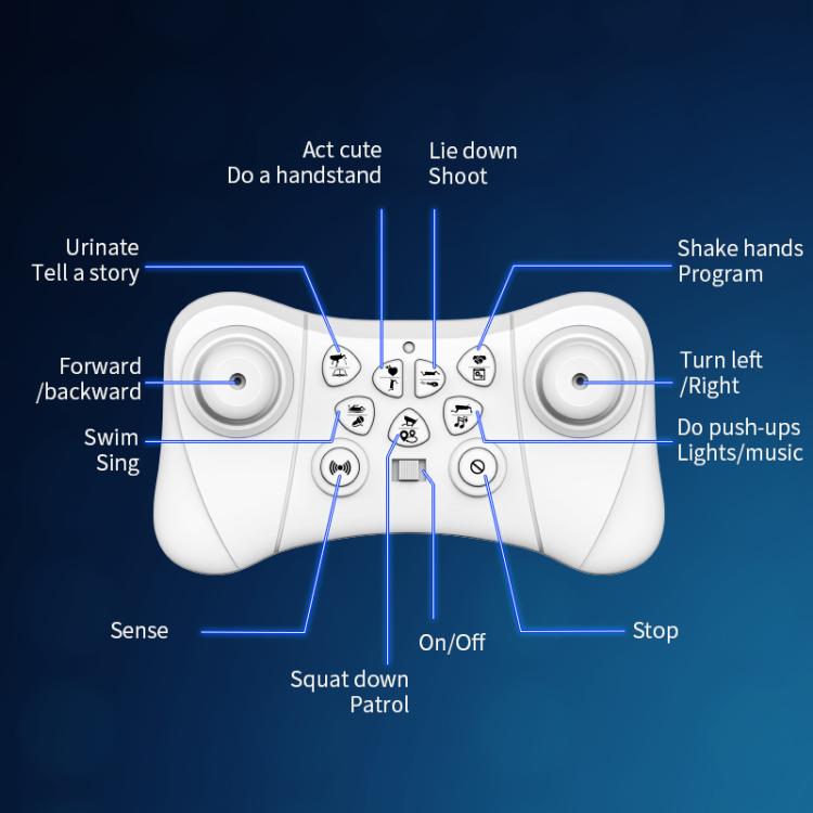 EDA0094417_B8.jpg