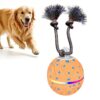 O22 Smart Automatic Pet Toy Ball Dog Training with Light & Sound & Rope, O22