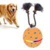 O23 Smart Automatic Pet Toy Ball Dog Training with Light & Sound & Rope, O23