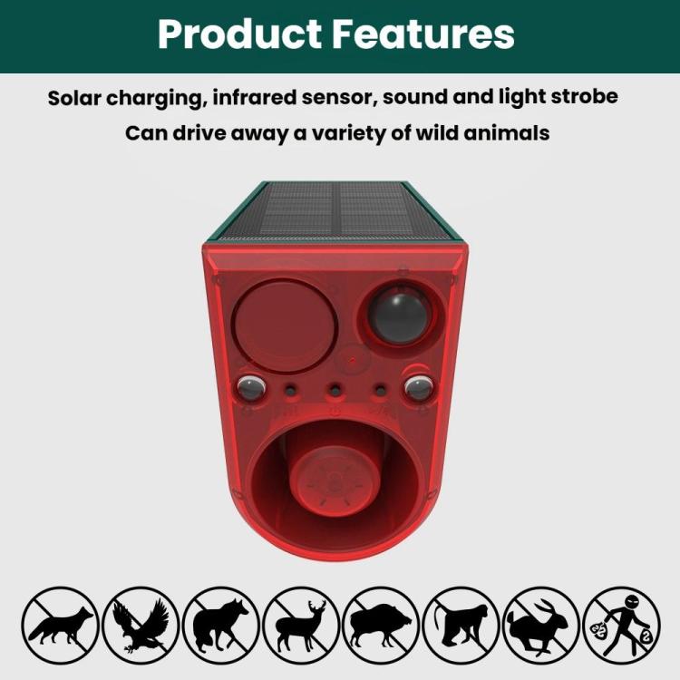 TBD06062277_B5.jpg
