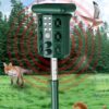 Outdoor Solar Ultrasonic Bird Rodent Repeller Courtyard Night Light, H7015