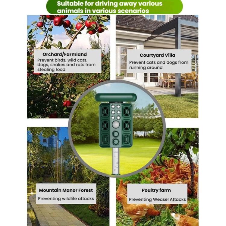 TBD06062385_B8.jpg