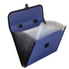 Deli 5232 A4 Accordion Bag Office Handbag 13 Compartment Folder Document Storage Bag
