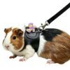 Guinea Pig Chinchilla Harness, Outdoor Walking Leash For Small Pets, Black S, Black M, Purple S, Purple M, Star S, Star M
