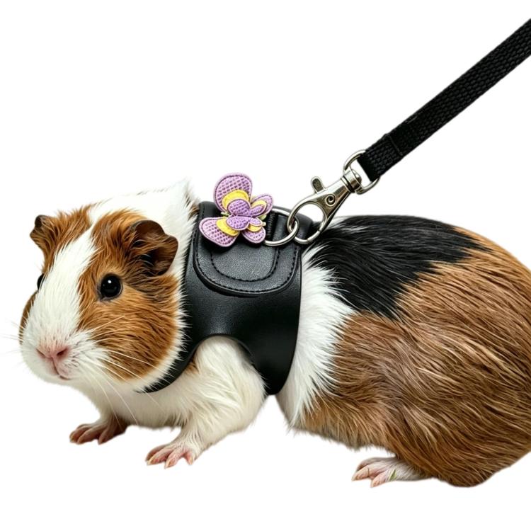 Guinea Pig Chinchilla Harness, Outdoor Walking Leash For Small Pets, Black S, Black M, Purple S, Purple M, Star S, Star M