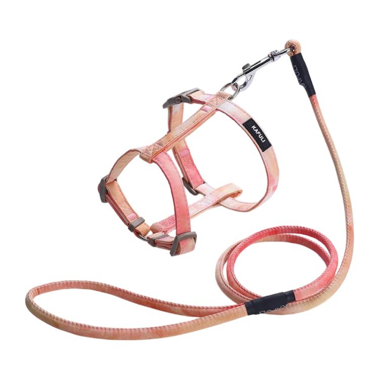 Adjustable Pet Harness & Leash Set for Small Dogs & Cats, S, M