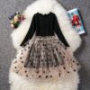 Autumn Girls Star Pattern Lace Sequins Long Sleeve Tutu Dress, 140cm