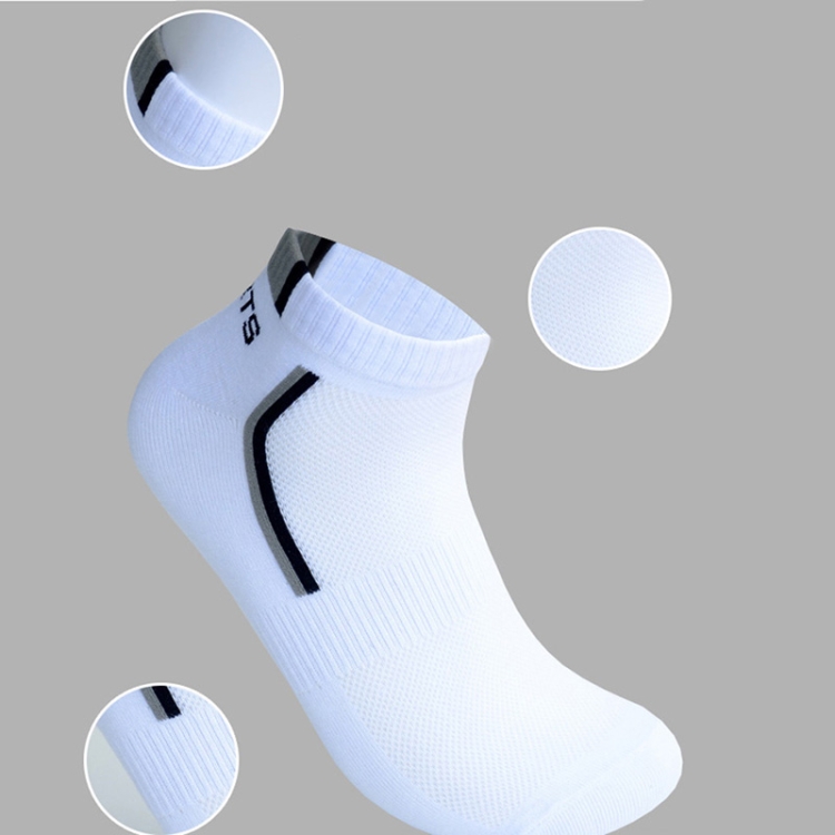 TBD049041501A_5.jpg