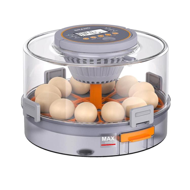 Precise Temperature Control Incubator For 12-18 Eggs, EU Plug, EU Plug