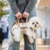 Hipipet Portable Crossbody & Handheld Pet Shoulder Bag, Multifunctional Outdoor Carrier For Cats & Dogs, S, M, L, XL
