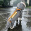 Hipipet Color Block Raincoat For Medium & Small Dogs With Traction Design Frosted Edged Transparent Pet Rain Jacket With Tail Cover, XS, S, M, L, XL, XXL
