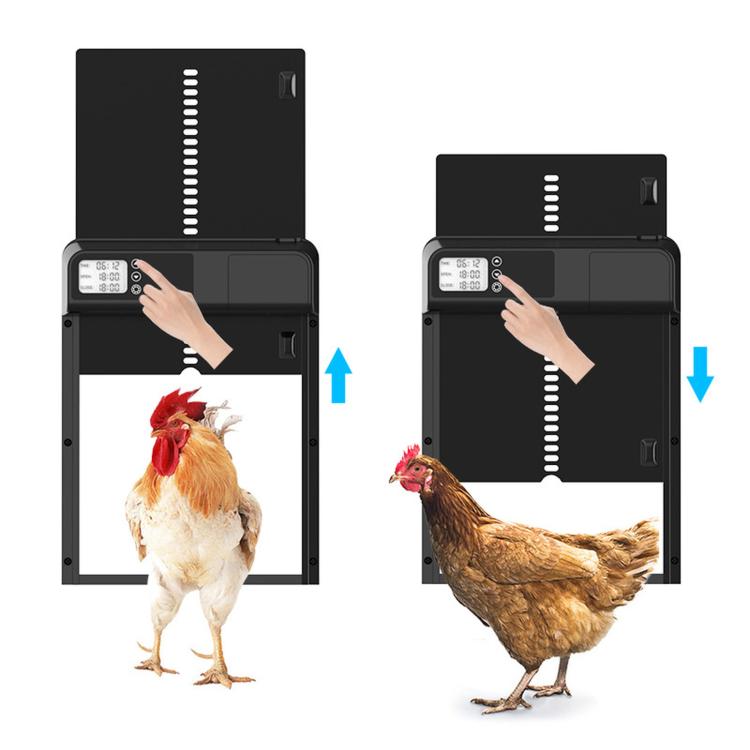 Aluminum Alloy Digital Display Automatic Timed Chicken Coop Door, KF4201058