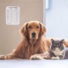 Pet Daily Activity And Feeding Log Sign