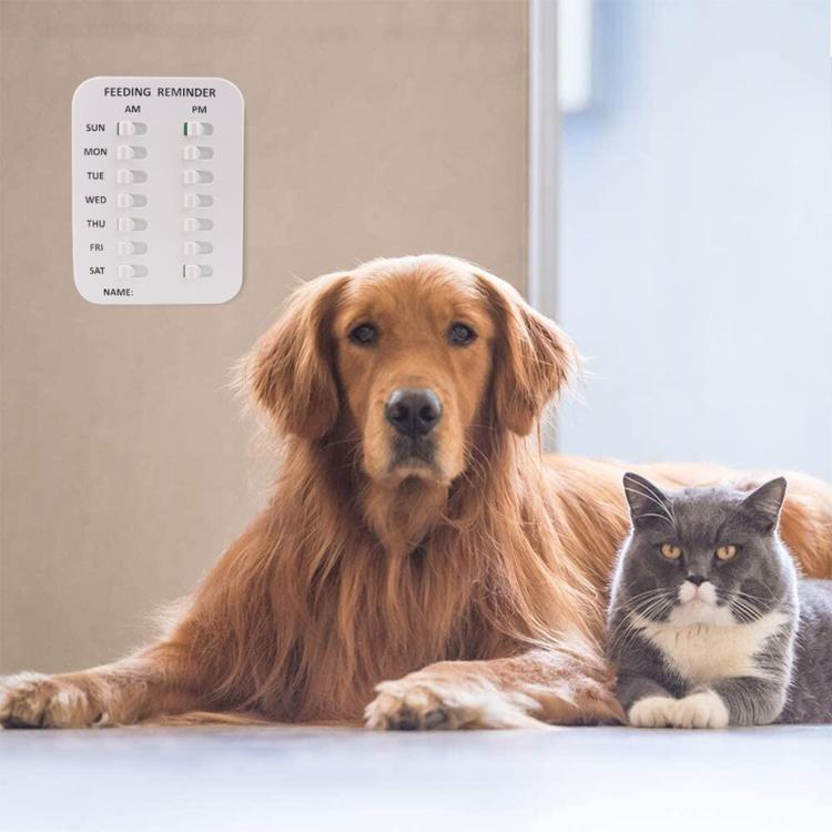 Pet Daily Activity And Feeding Log Sign