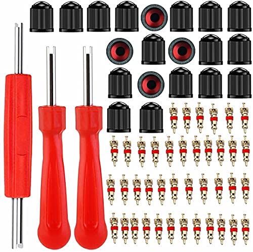 Z&D Valve Core Remover with 20Pcs Schrader Valve Cores Dual Single Head Valve Core Remover Tire Repair Tool