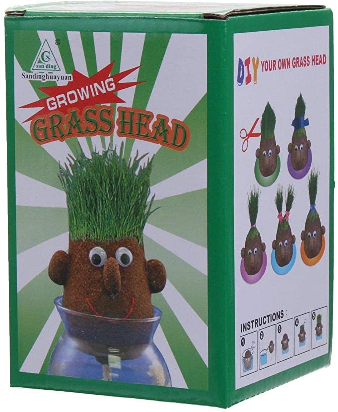 Magic Growing Grass Head Craft DIY By Letbo