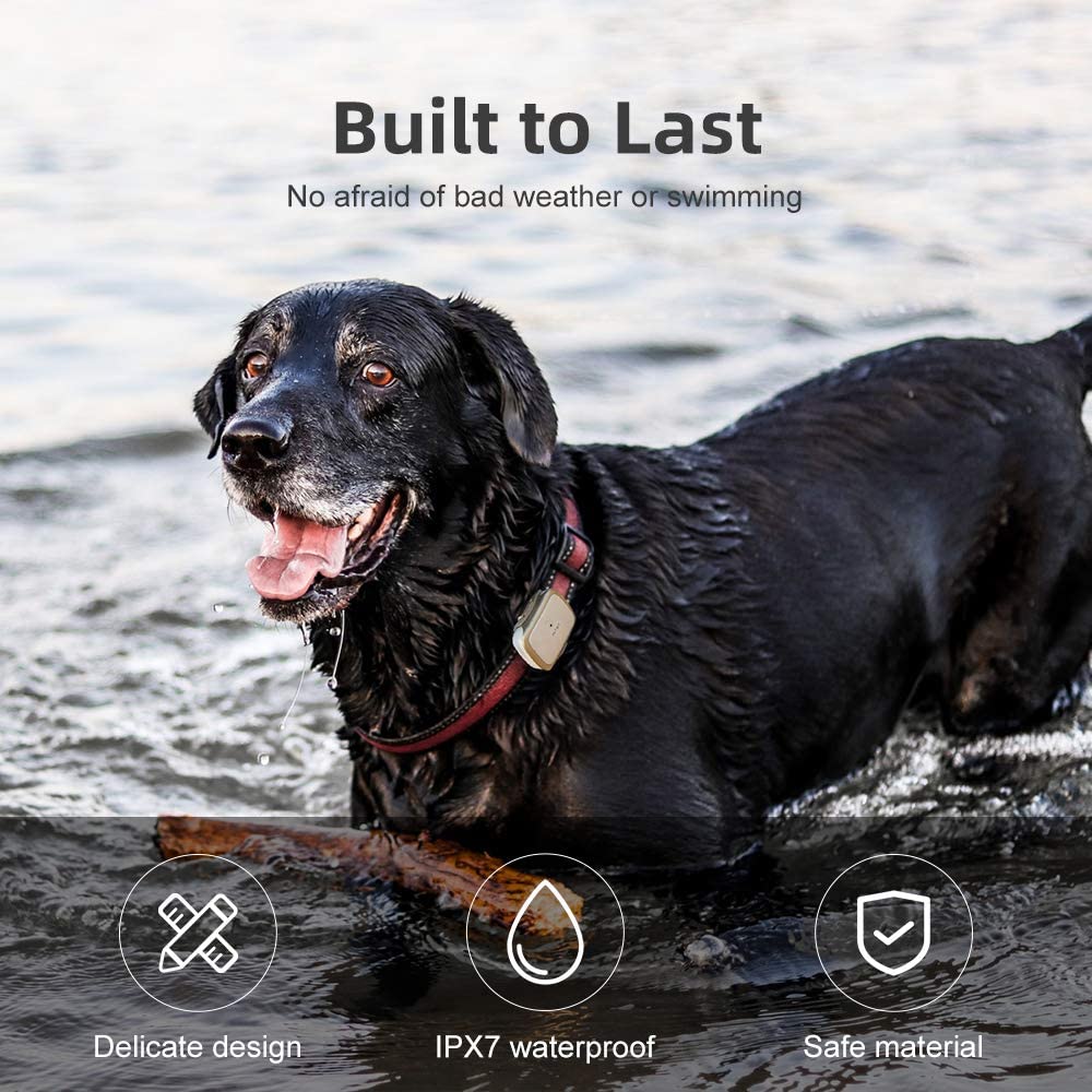 PETBIZ G1 GPS Pet Tracker, NB-IOT(5G) Dog Locator & Activity Monitor, 30 Days Ultra Long-Lasting Battery Lightweight Waterproof Dog Finder (Black)