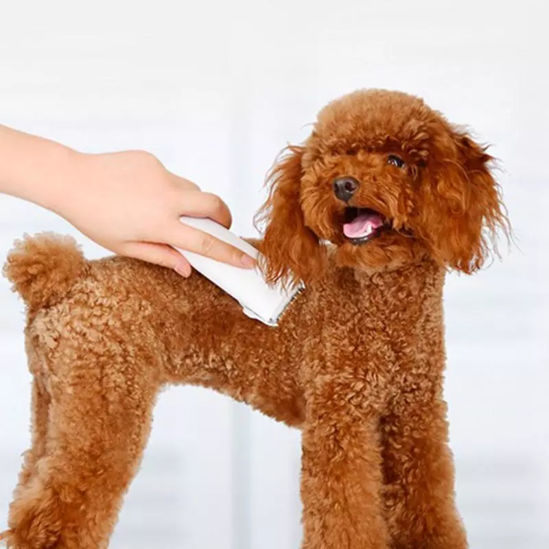 Xiaomi Pawbby Pets USB Rechargeable Hairdresser Professional Dog Cat Pet Beauty Electric Pet Hairdresser