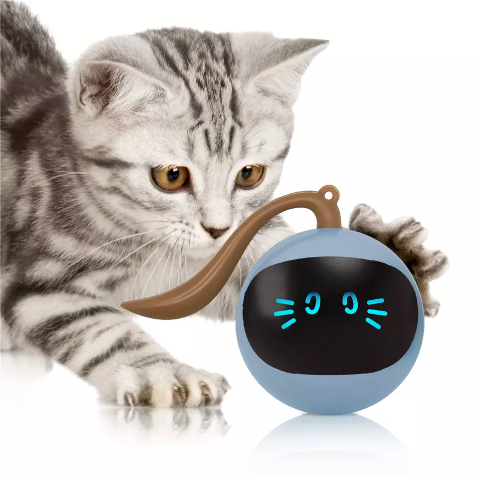 Smart Cat Toy com Luz LED, Tipo-C, Recarregável, 360 °, Auto-Rotativo,  Interativo, Bola, Gatos, Gatinho, Cachorro, Caça - AliExpress